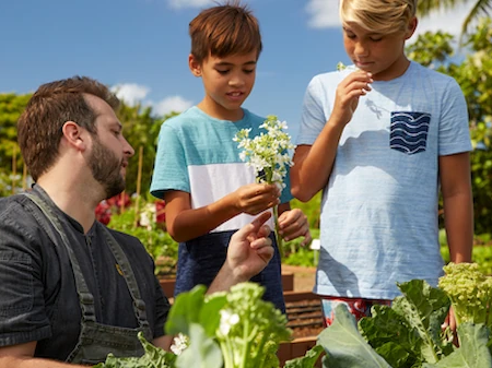 A man and two boys in a sunny garden pick flowers and chat.