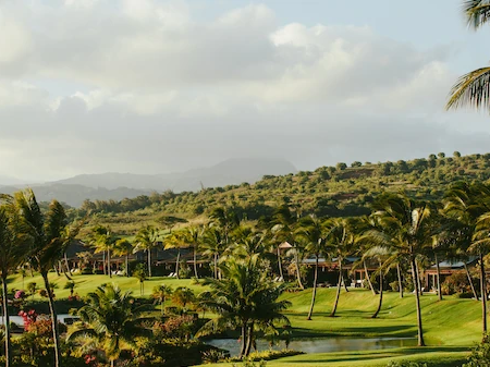 A tropical resort landscape with lush green lawns, palm trees, distant mountains, and a cloudy sky.