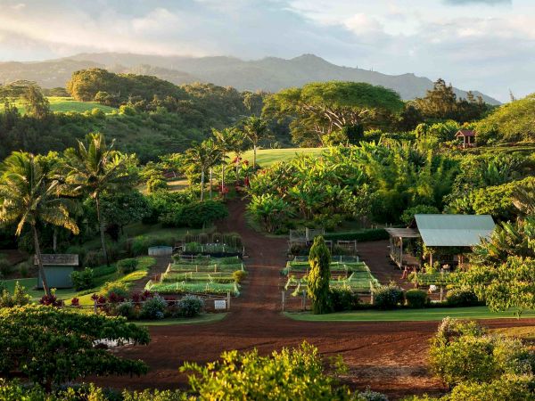 Lush tropical farm with gardens, dirt paths, small houses, and green hills under a cloudy sky.