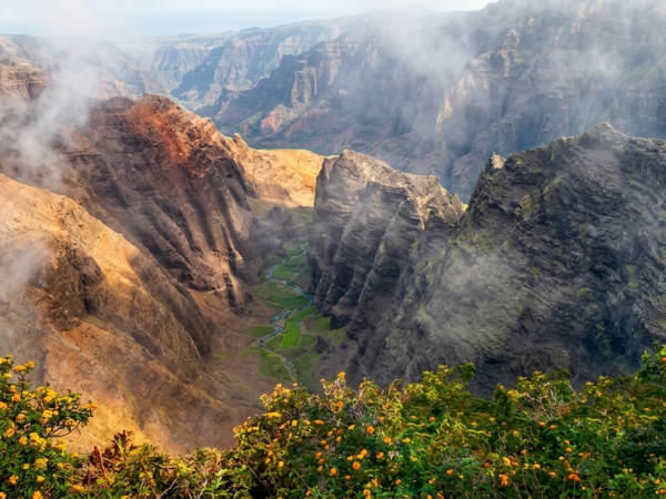 Misty mountain canyon with rugged cliffs, a winding river below, and bright yellow-orange wildflowers in the foreground.
