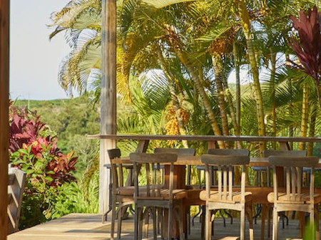 A wooden balcony with chairs overlooking lush tropical greenery and palm trees in the distance.
