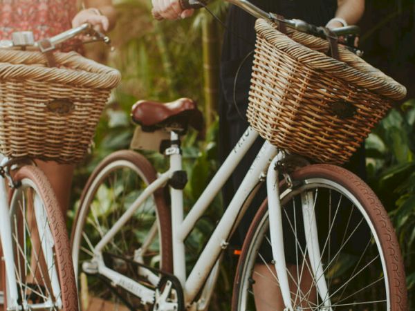 Two white bicycles with wicker front baskets parked along a leafy path in the sun.