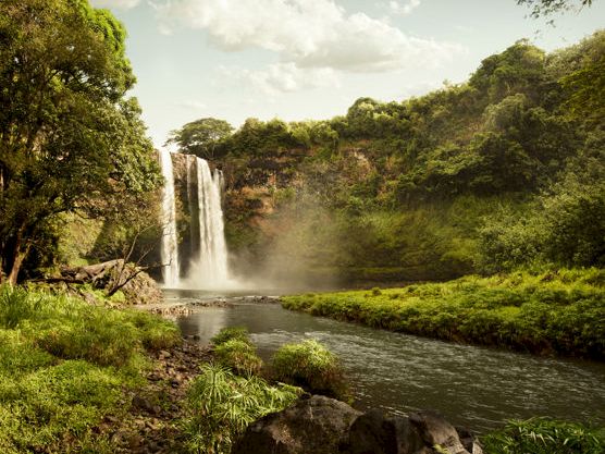 A tall waterfall pours into a calm river, surrounded by dense green rainforest and rocky banks under a cloudy sky.