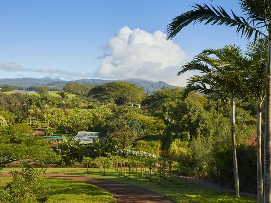 A lush tropical countryside with palm trees, green fields and hills, and distant mountains under a blue sky with clouds.