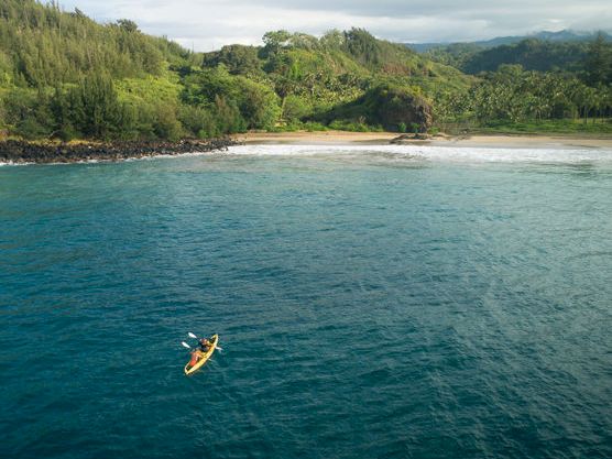 A kayaker paddles in calm turquoise water beside a lush green riverbank with mountains in the distance.