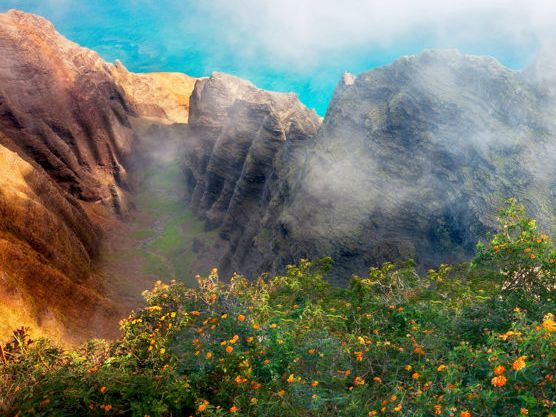 Misty mountain peaks rise behind a field of orange wildflowers in a dramatic blue sky.