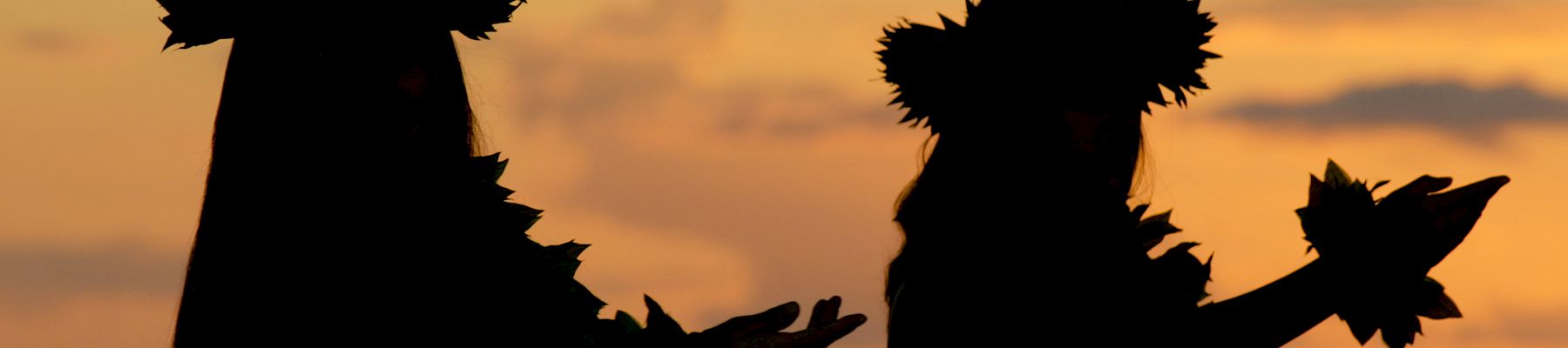 Silhouettes of two people wearing sunflower crowns on a beach at sunset, hands reaching out against the orange sky.