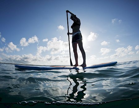 A person stands on a paddleboard, paddling across the ocean under a bright blue sky and scattered clouds.