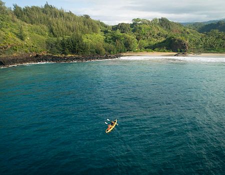 Aerial view of a kayaker paddling in blue water beside a lush, green tropical coastline and sandy beach.