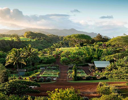 A lush tropical valley with palm trees, gardens and farm paths stretches toward distant mountains beneath a bright sky.