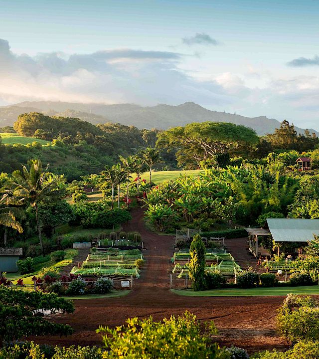 A lush tropical valley with palm trees, gardens and farm paths stretches toward distant mountains beneath a bright sky.