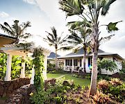 A sunny tropical resort courtyard with lush gardens, palm trees, and a white bungalow-style house with a sea-view.