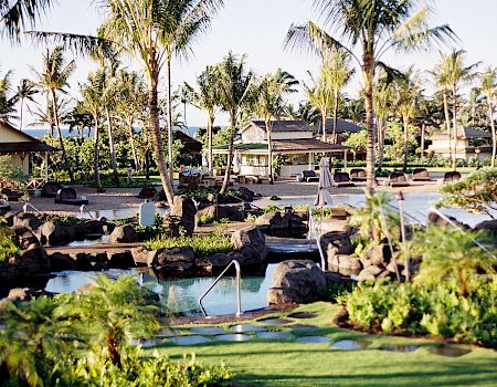 A sunny tropical resort scene with lush palm trees, a small pool, loungers, and a calm garden oasis by the ocean.