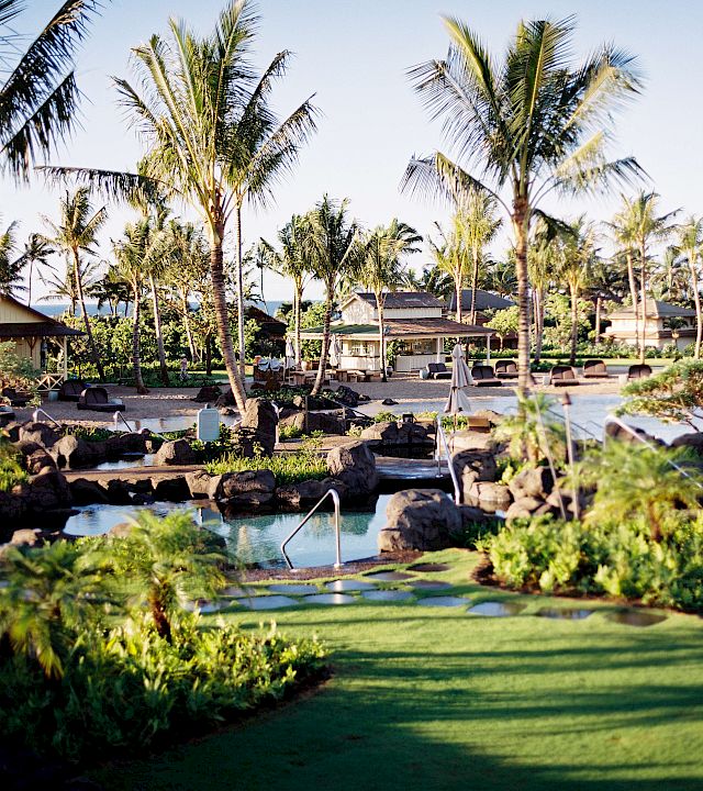 A sunny tropical resort scene with lush palm trees, a small pool, loungers, and a calm garden oasis by the ocean.