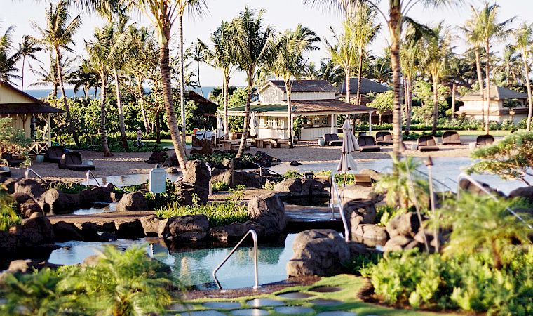 A sunny tropical resort scene with lush palm trees, a small pool, loungers, and a calm garden oasis by the ocean.