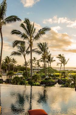 A tropical resort scene with tall palm trees, a calm pool reflecting sunset, and lush greenery under golden clouds.