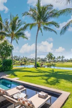 A backyard pool overlooks a lush golf course with palm trees and a lake under a bright blue sky.