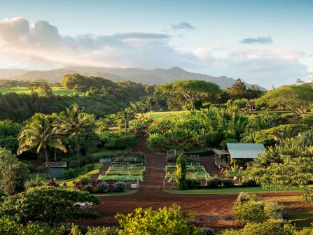 Lush tropical garden and farm plots with palm trees and flowering beds, winding path, backed by hazy mountains and clouds.