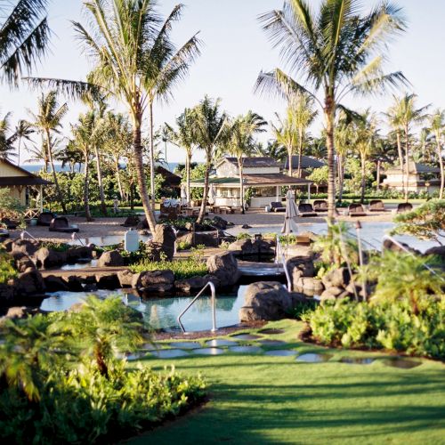 A tropical resort garden with palm trees, a small pool/pond, lounge chairs, and nearby cabanas under a clear sky.