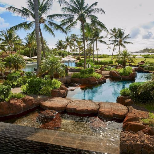A tropical resort scene with a winding pool, rocky landscaping, and tall palm trees under a bright sky.