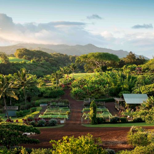 The Lodge at Kukui&rsquo;ula