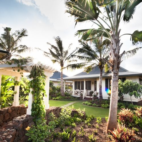 A tropical resort garden with palm trees and a white villa under sunny skies.