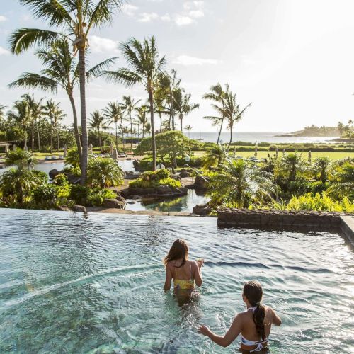 A tropical resort scene: kids swim in a lagoon pool, palm trees and gardens surround it, with the ocean in the background.
