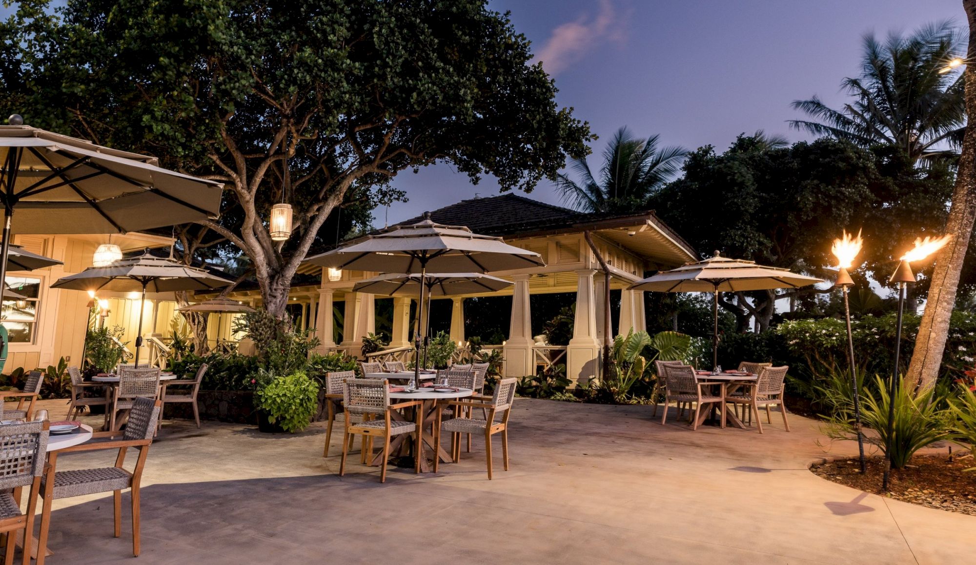 An outdoor patio with caf&eacute; tables, umbrellas, warm lights, and palm trees at dusk.